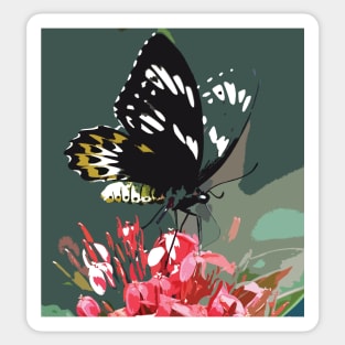 Photography : Butterfly Portrait Sticker